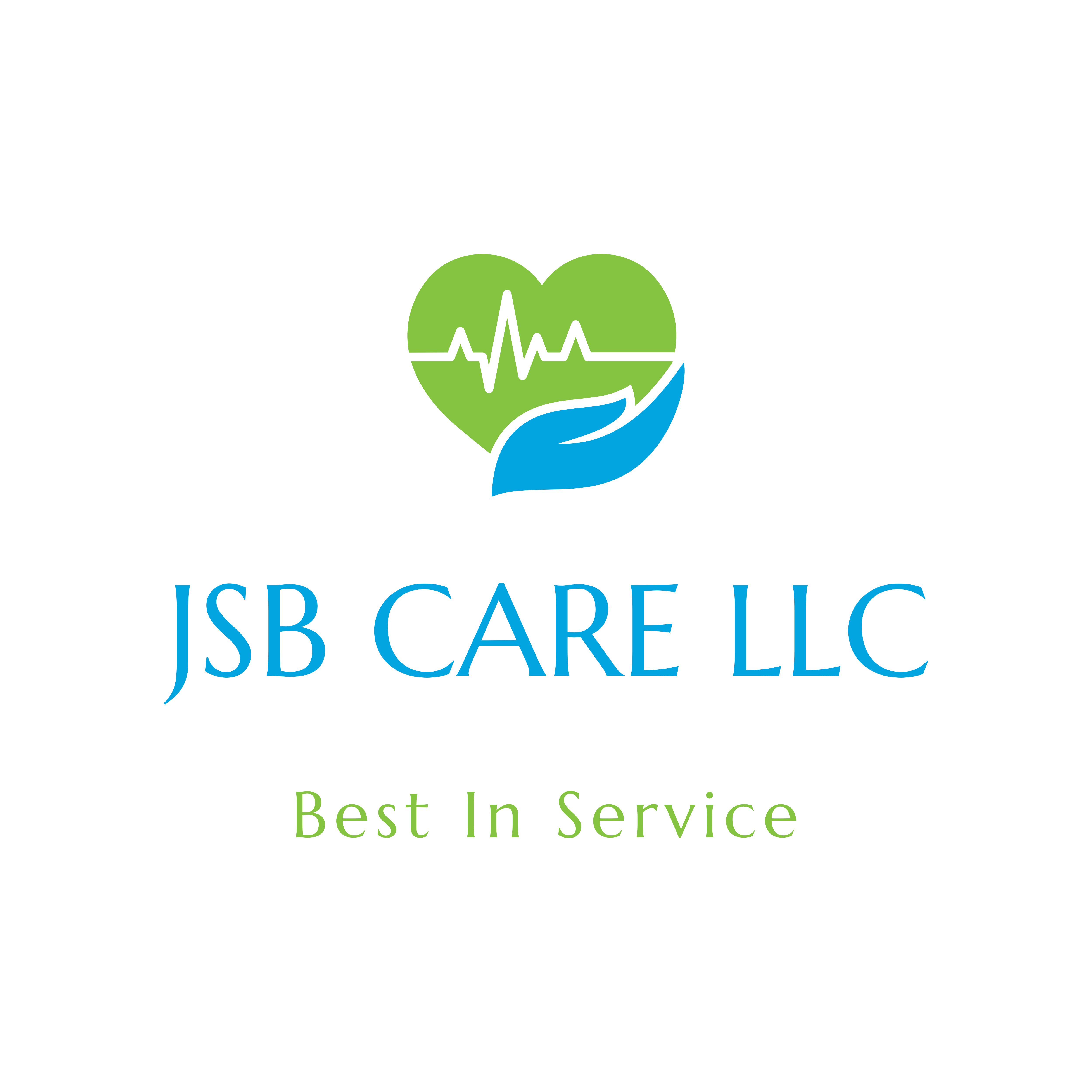 JSB LLC